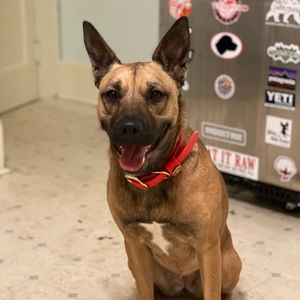 Meet your Posher, Jake